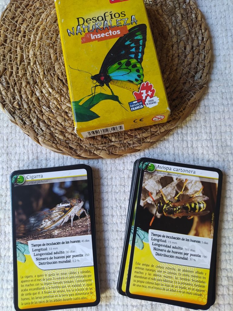 Aquesta imatge té l'atribut alt buit; el seu nom és cartes-insectes-768x1024.jpg
